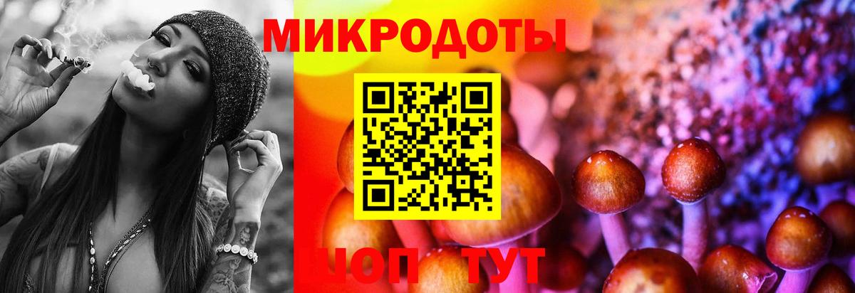 Галлюциногенные грибы мицелий  Вход с VPN  Звенигород 